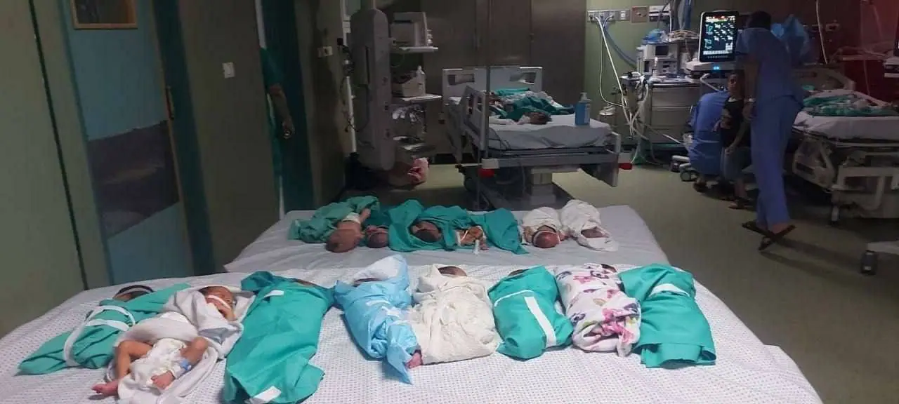 اطفال خدج مستشفى الشفاء غزة