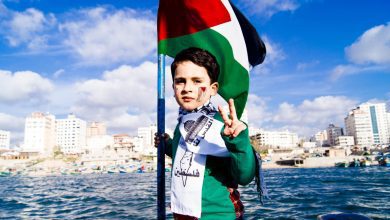 فلسطين موطني
