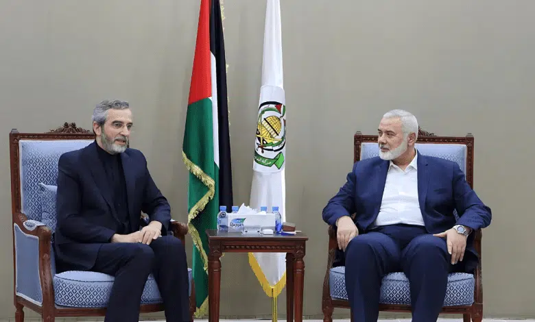 التقى المشرف على الخارجية علي باقري، في الدوحة، رئيس المكتب السياسي لحركة المقاومة الإسلامية الفلسطينية حماس إسماعيل هنية