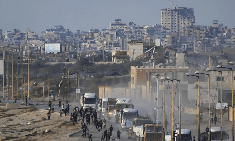 مدينة رفح فلسطين المحتلة