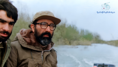 الشهید مصطفى شمران قائد ومجاهد وصانع الانتصارات و الثائر العالمي في مسيرة الخلاص 7 الشهید مصطفى شمران قائد ومجاهد وصانع الانتصارات و الثائر العالمي في مسيرة الخلاص