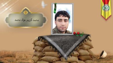 (محمد کریم) شهداء المقاومة الإسلامية كتائب سيد الشهداء عليه السلام 13 محمد كريم عواد محمد